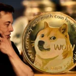 doge