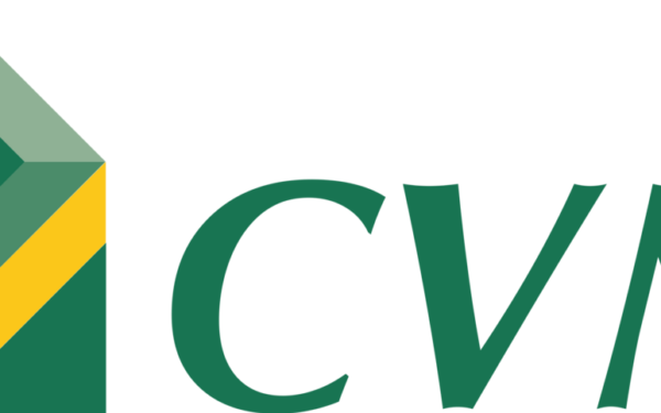 CVM e Criptomoedas: O Que a Comissão de Valores Mobiliários Regula no Brasil